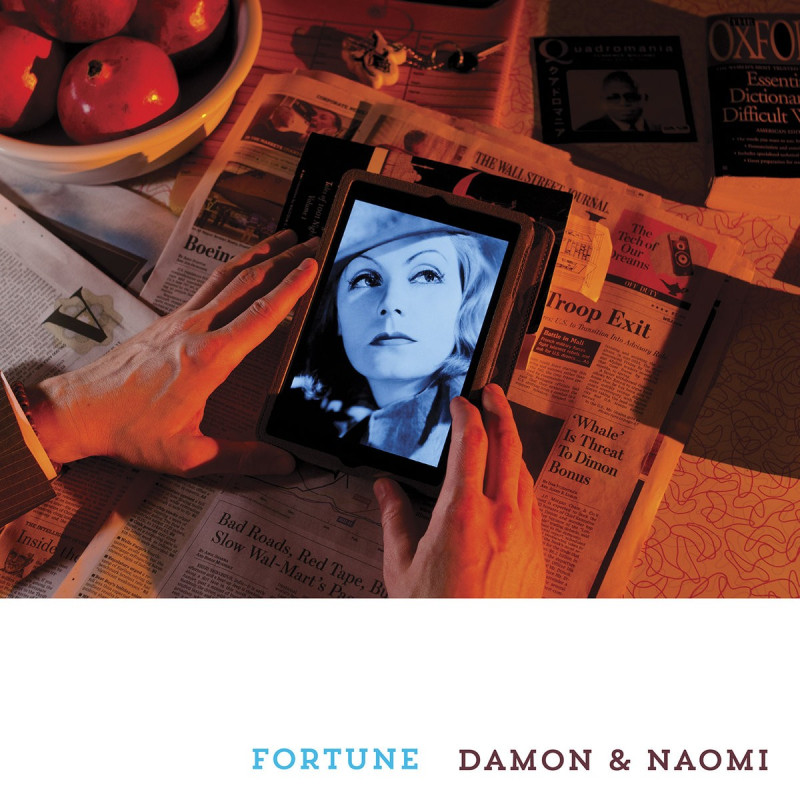 Damon & Naomi Fortune Plak Vinyl Record LP Albüm