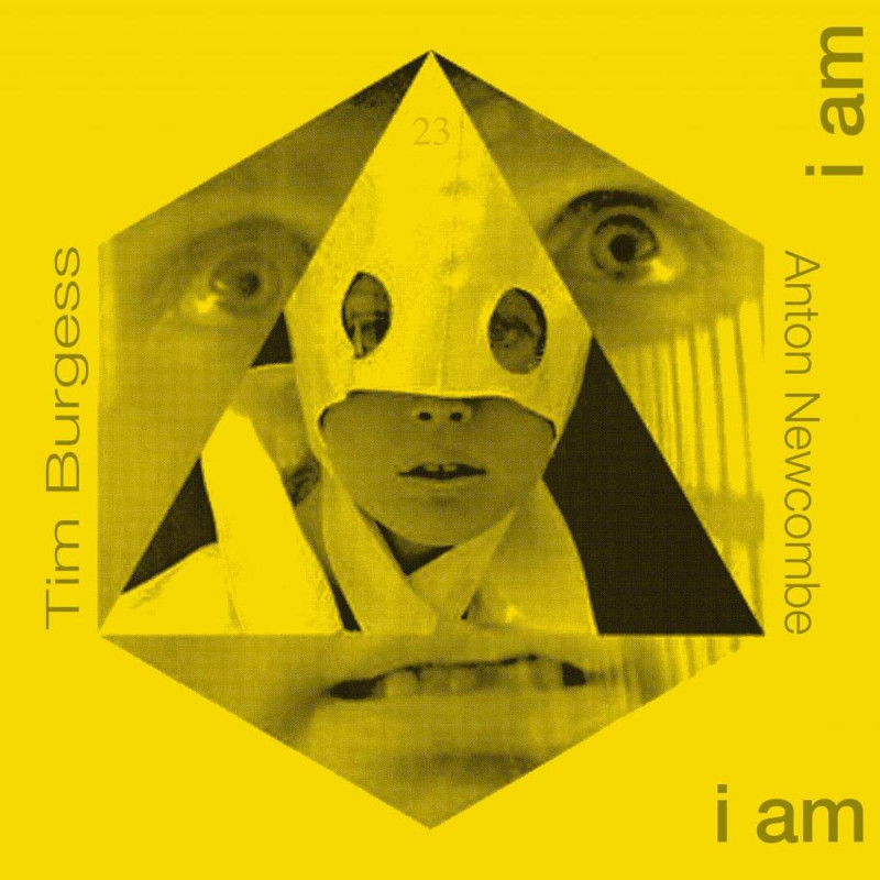 Tim Burgess / Anton Newcombe  The Doors Of Then - I Am Yours, I Am You Plak Vinyl Record LP Albüm