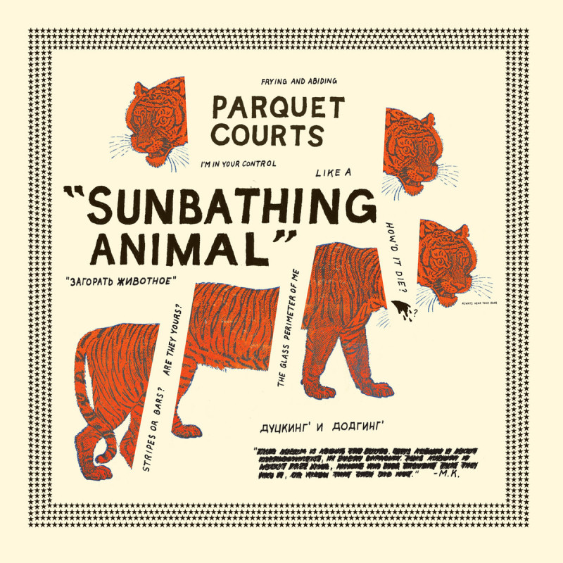 Parquet Courts Sunbathing Animal (UK) Plak Vinyl Record LP Albüm