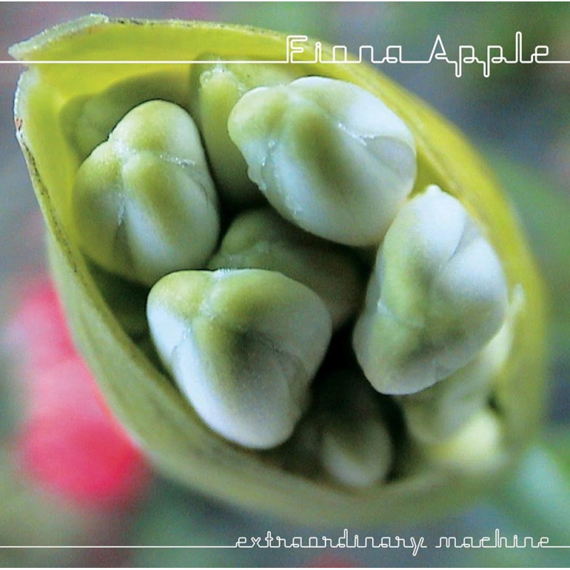 Fiona Apple Extraordinary Machine Plak Vinyl Record LP Albüm