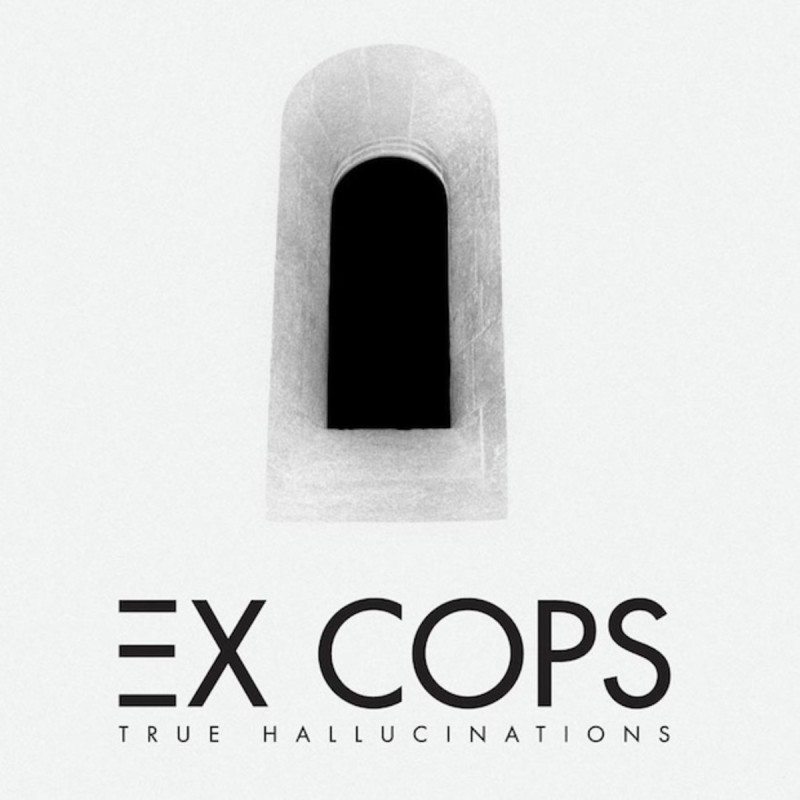 Ex Cops True Hallucinations Plak Vinyl Record LP Albüm