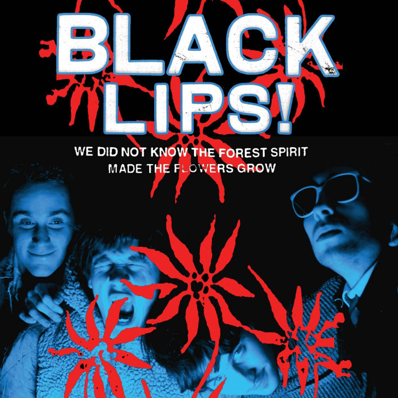 The Black Lips We Did Not Know The Forest Spirit Made The Flowers Grow Plak Vinyl Record LP Albüm