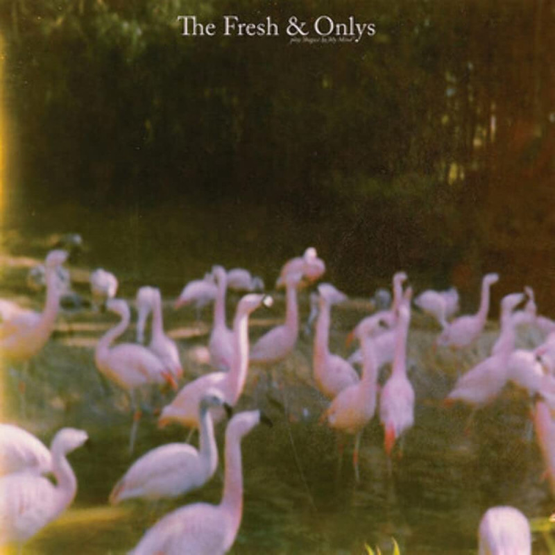 The Fresh & Onlys August In My Mind Plak Vinyl Record LP Albüm