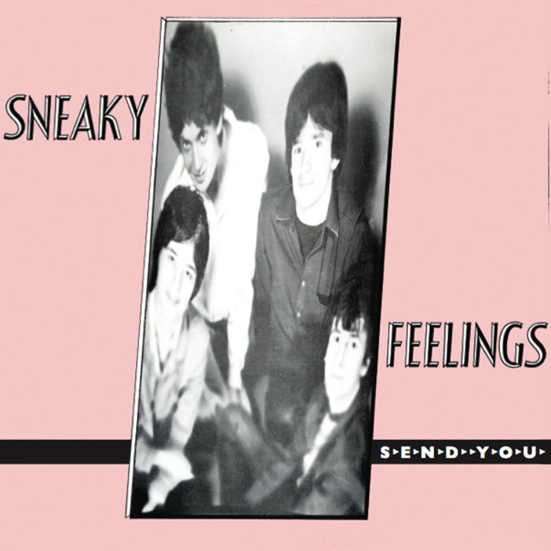 Sneaky Feelings Send You Plak Vinyl Record LP Albüm