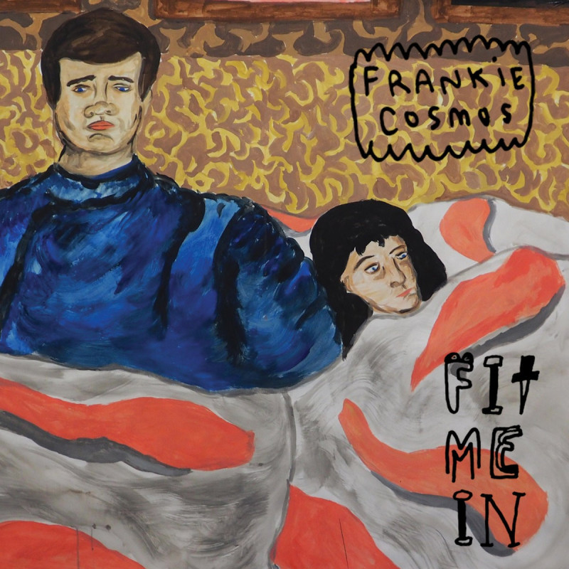 Frankie Cosmos Fit Me In Plak Vinyl Record LP Albüm