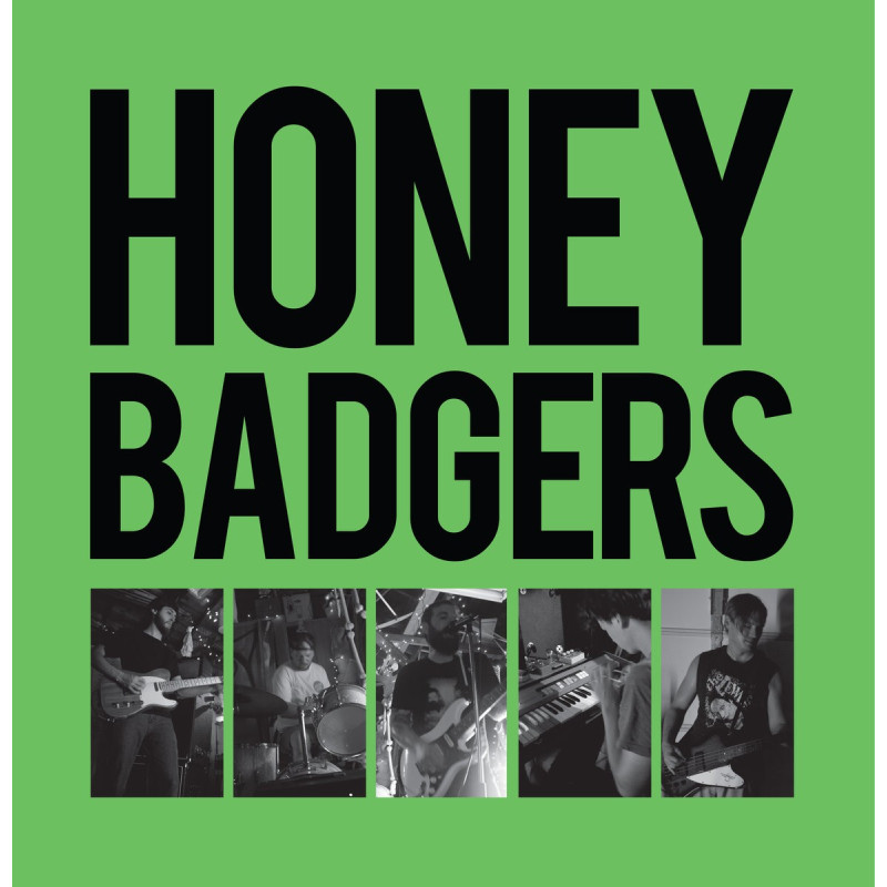 Honey Badgers Buena Park Plak Vinyl Record LP Albüm