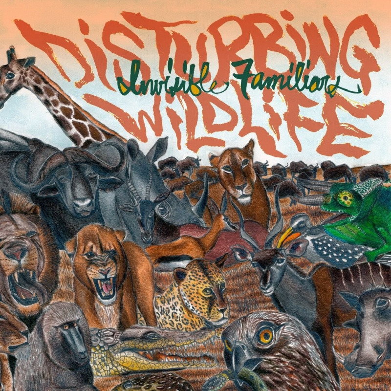 Invisible Familiars Disturbing Wildlife (Silver Vinyl) Plak Vinyl Record LP Albüm