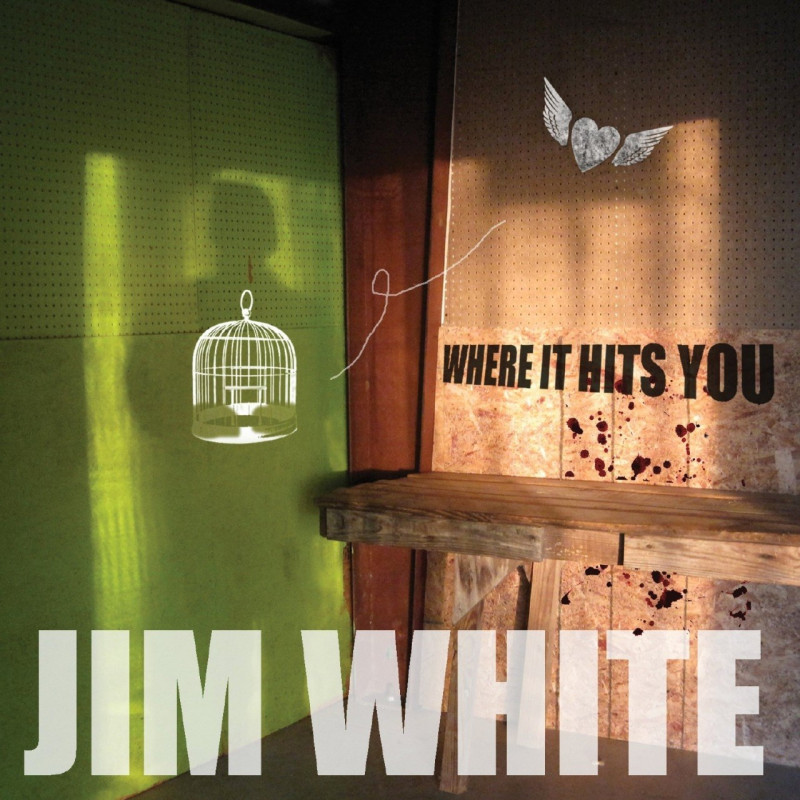 Jim White Where It Hits You Plak Vinyl Record LP Albüm