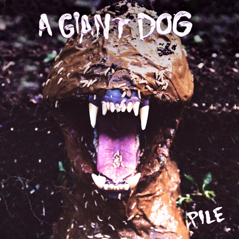 A Giant Dog Pile Plak Vinyl Record LP Albüm