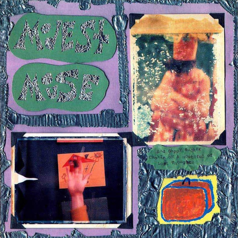 Modest Mouse Sad Sappy Sucker Plak Vinyl Record LP Albüm