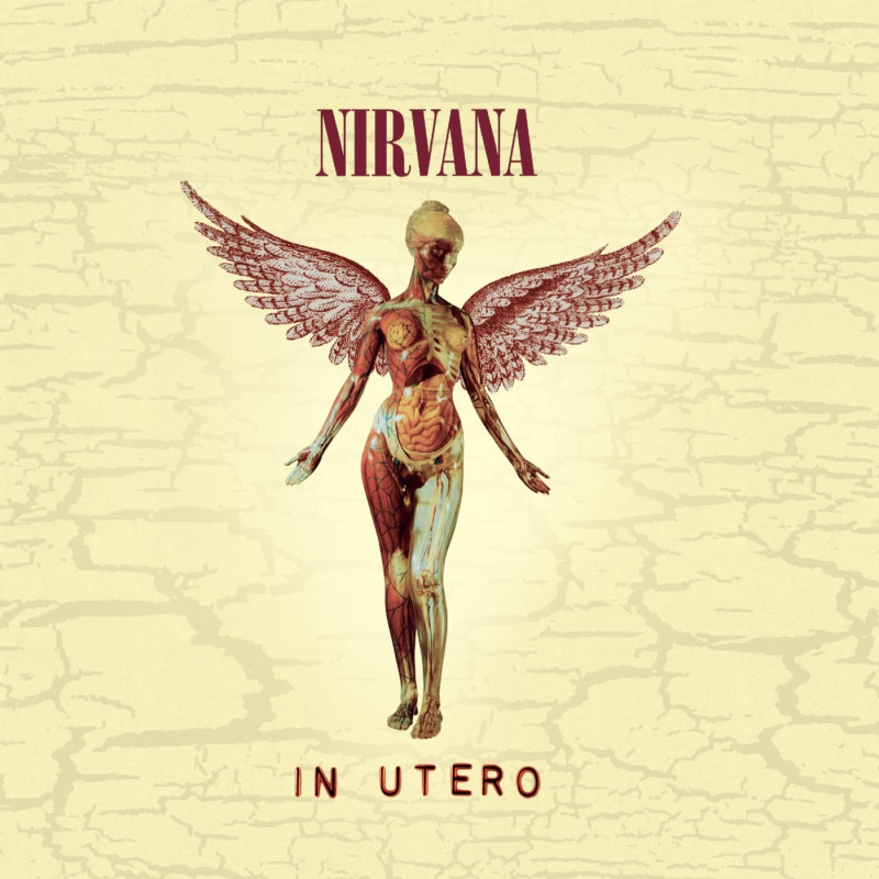 Nirvana In Utero Plak Vinyl Record LP Albüm
