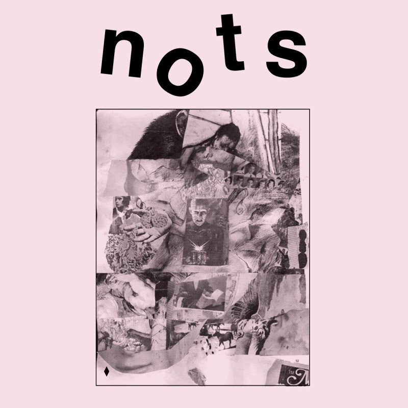 Nots We Are Nots Plak Vinyl Record LP Albüm