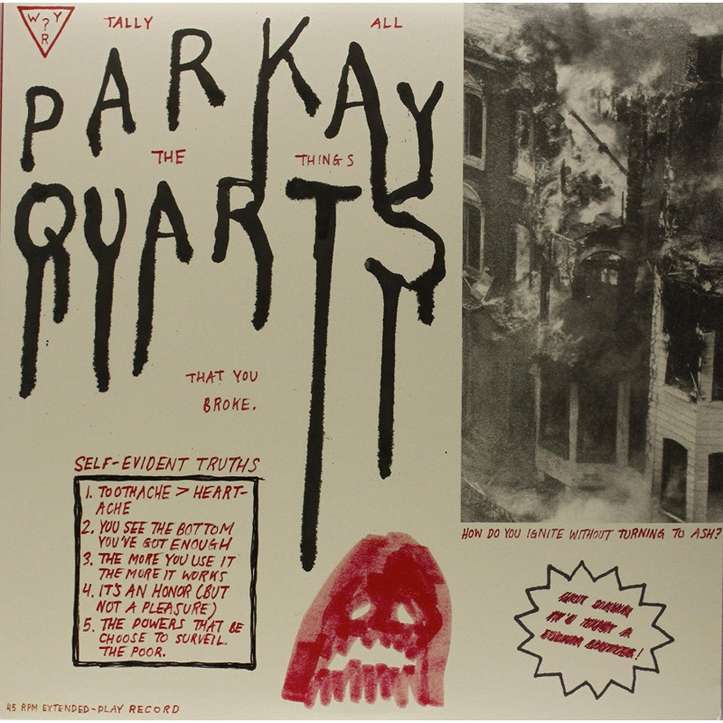 Parquet Courts Tally All The Things That You Broke Plak Vinyl Record LP Albüm