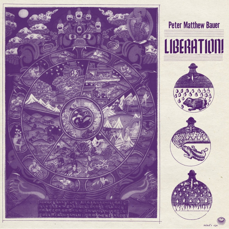 Peter Bauer Liberation! Plak Vinyl Record LP Albüm