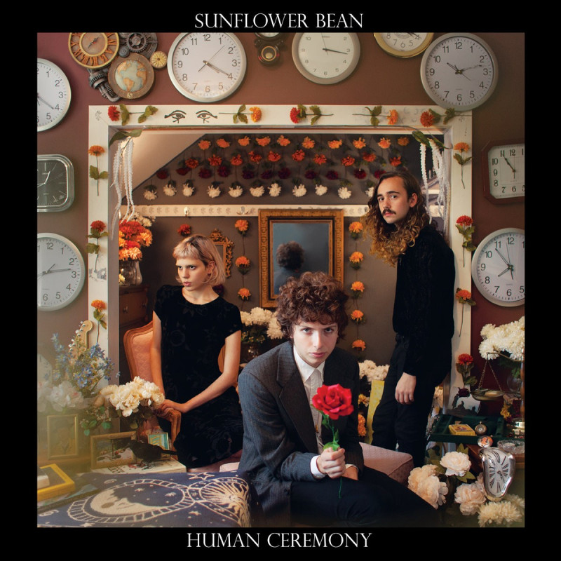 Sunflower Bean Human Ceremony (Limited Edition Red Vinyl) Plak Vinyl Record LP Albüm
