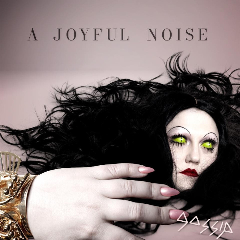 The Gossip A Joyful Noise Plak Vinyl Record LP Albüm