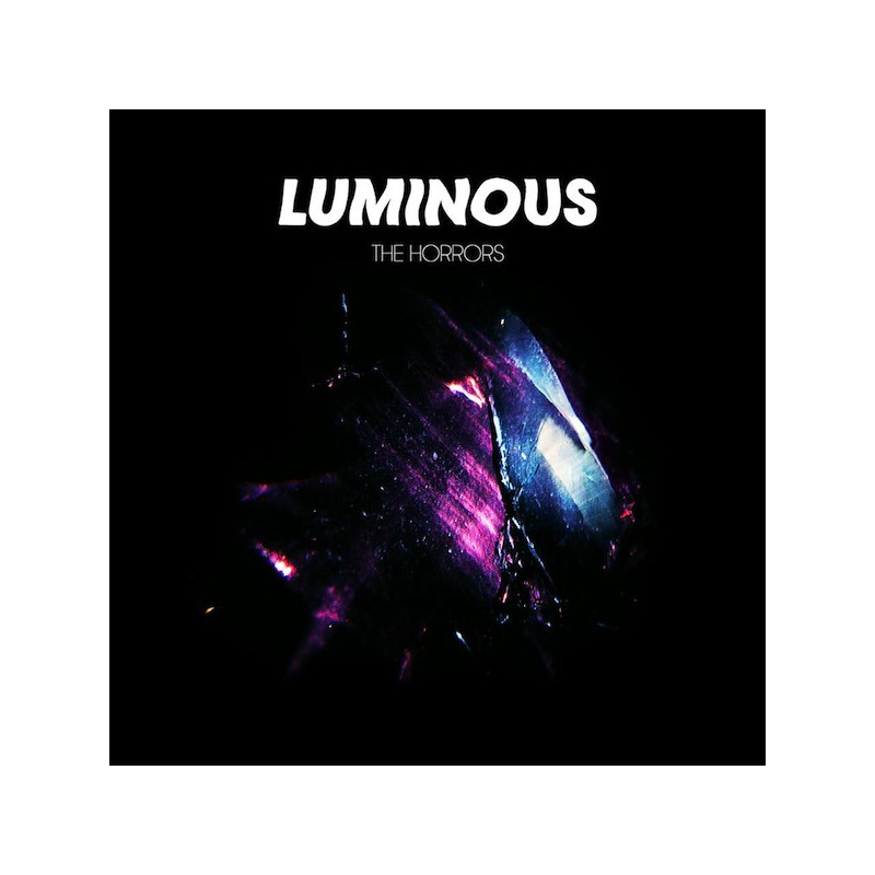 The Horrors Luminous Plak Vinyl Record LP Albüm