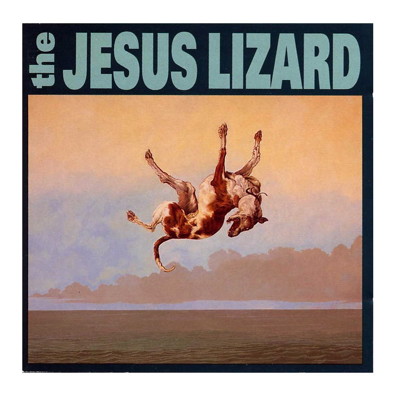 The Jesus Lizard Down Plak Vinyl Record LP Albüm