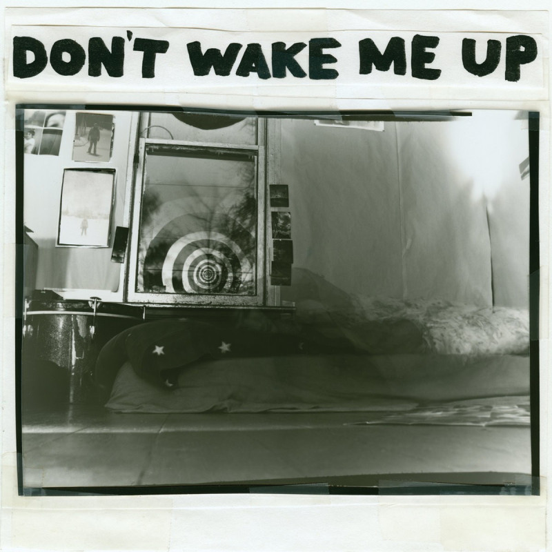 The Microphones Don't Wake Me Up Plak Vinyl Record LP Albüm