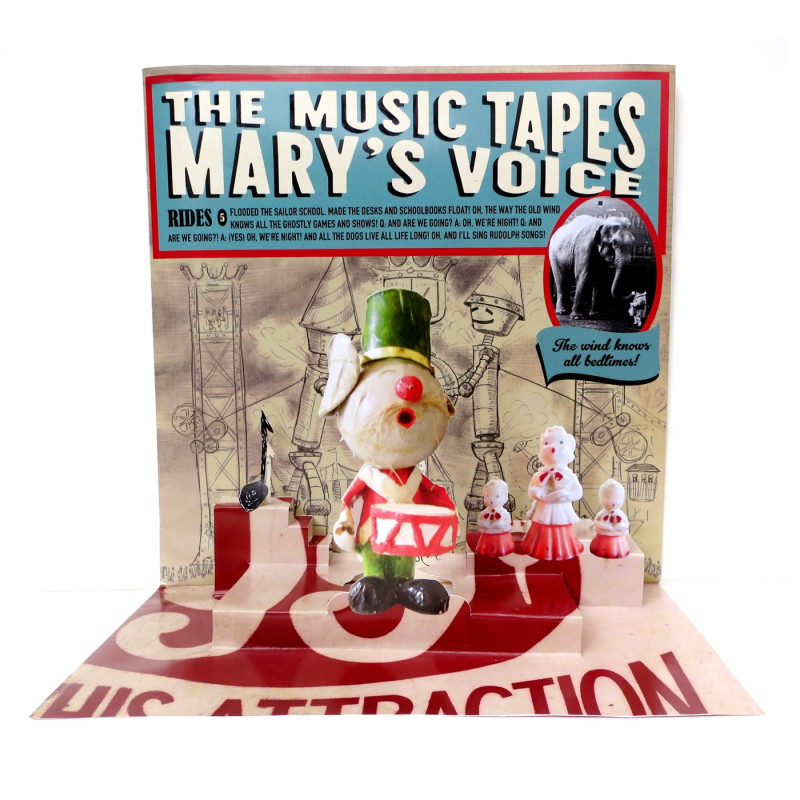 The Music Tapes Mary's Voice Plak Vinyl Record LP Albüm