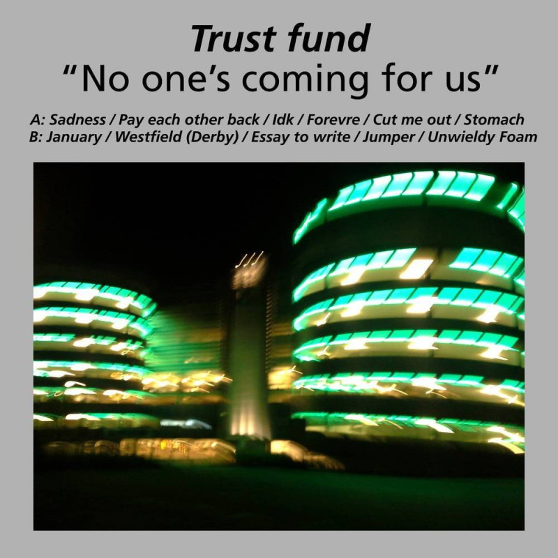 Trust Fund No One's Coming For Us Plak Vinyl Record LP Albüm