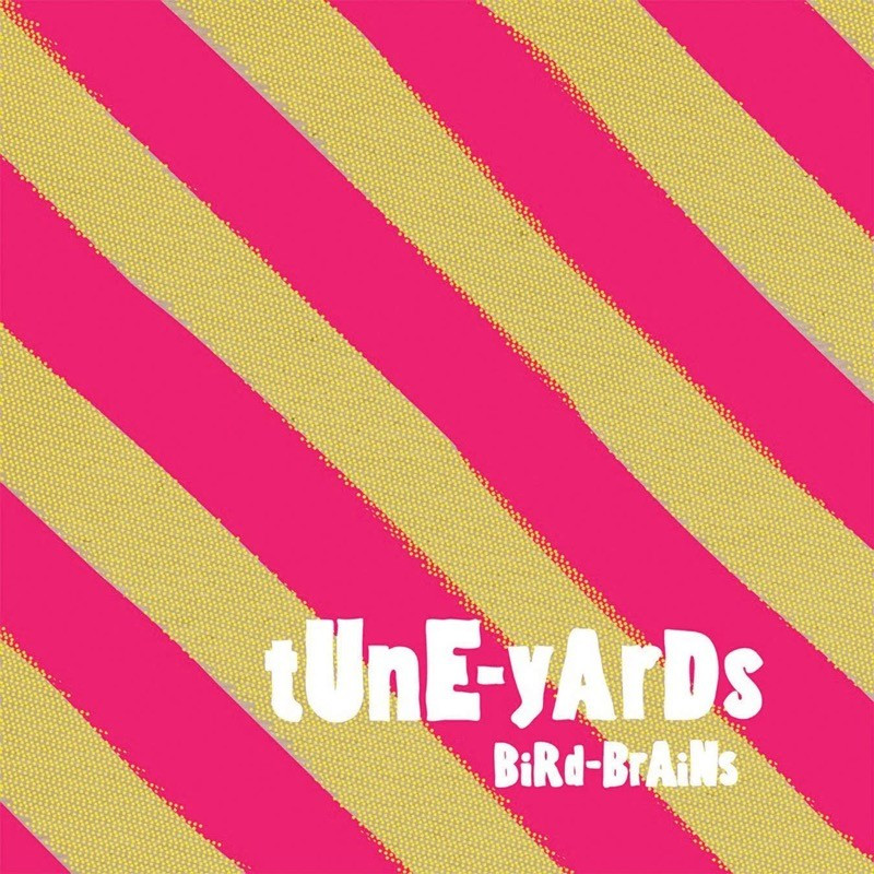 tUnE-yArDs Bird-Brains Plak Vinyl Record LP Albüm
