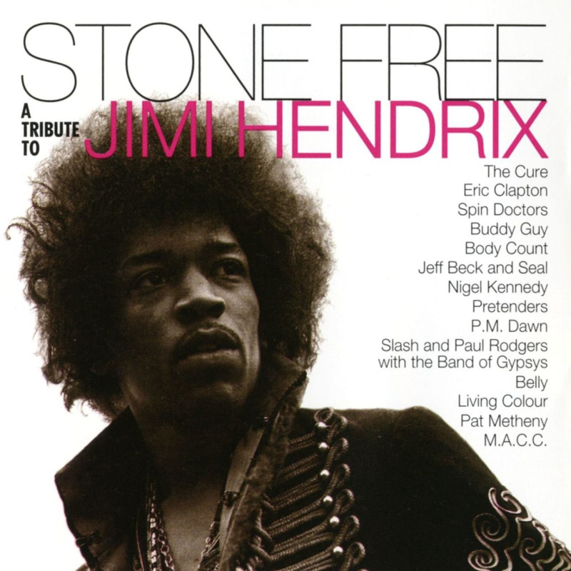 Various Artists Stone Free (A Tribute To Jimi Hendrix) (Numbered Limited Edition) Plak Vinyl Record LP Albüm