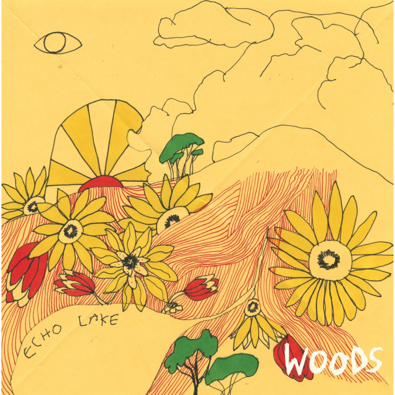 Woods At Echo Lake Plak Vinyl Record LP Albüm