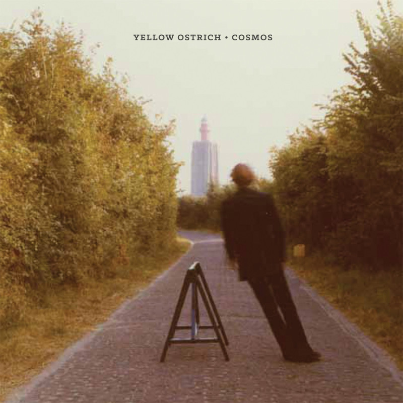 Yellow Ostrich Cosmos Plak Vinyl Record LP Albüm
