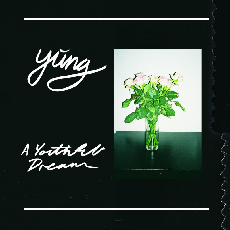 Yung A Youthful Dream Plak Vinyl Record LP Albüm