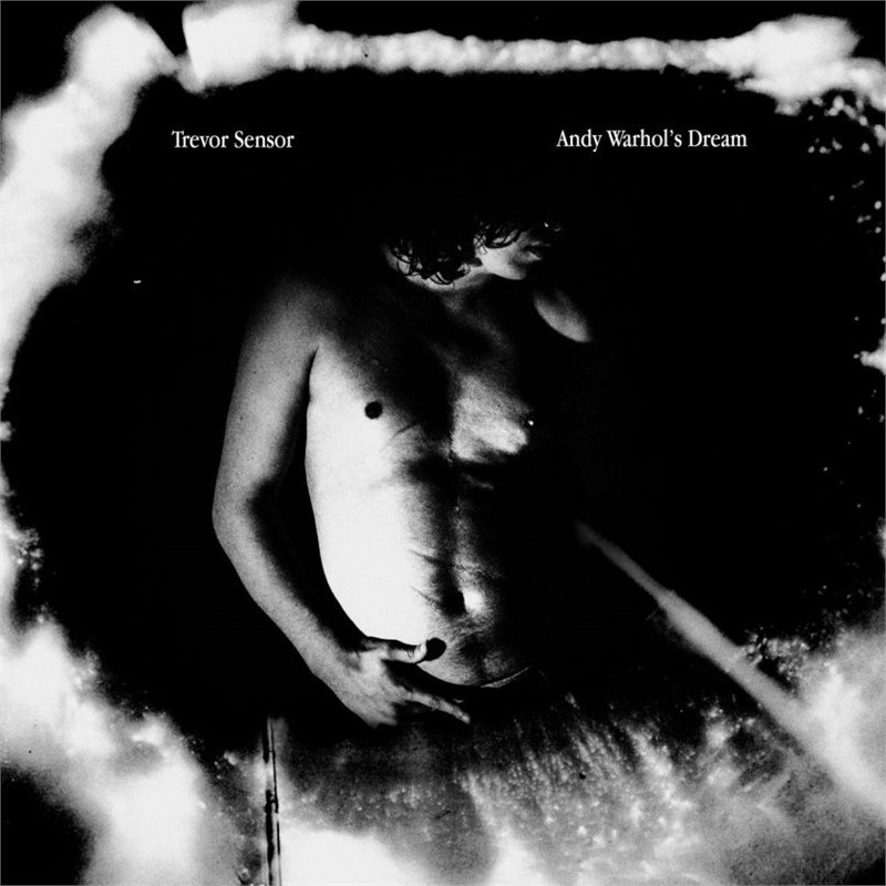Trevor Sensor Andy Warhol's Dream (Limited Edition Metallic Silver Vinyl) Plak Vinyl Record LP Albüm