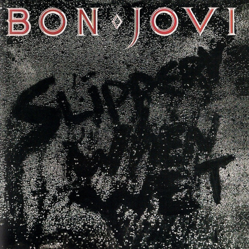 Bon Jovi Slippery When Wet Plak Vinyl Record LP Albüm