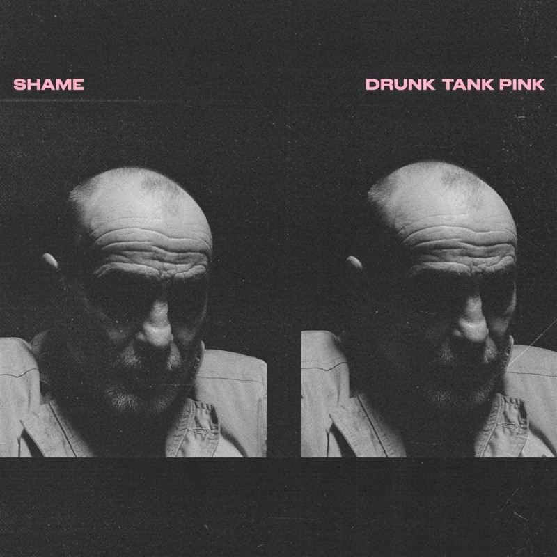 Shame Drunk Tank Pink Plak Vinyl Record LP Albüm