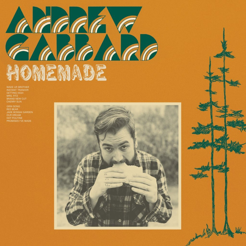 Andrew Gabbard Homemade (Indie Exclusive Camo Green Vinyl) Plak Vinyl Record LP Albüm