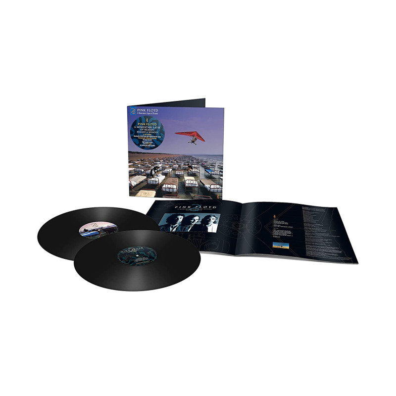 Pink Floyd A Momentary Lapse Of Reason (Remixed & Updated) Plak Vinyl Record LP Albüm
